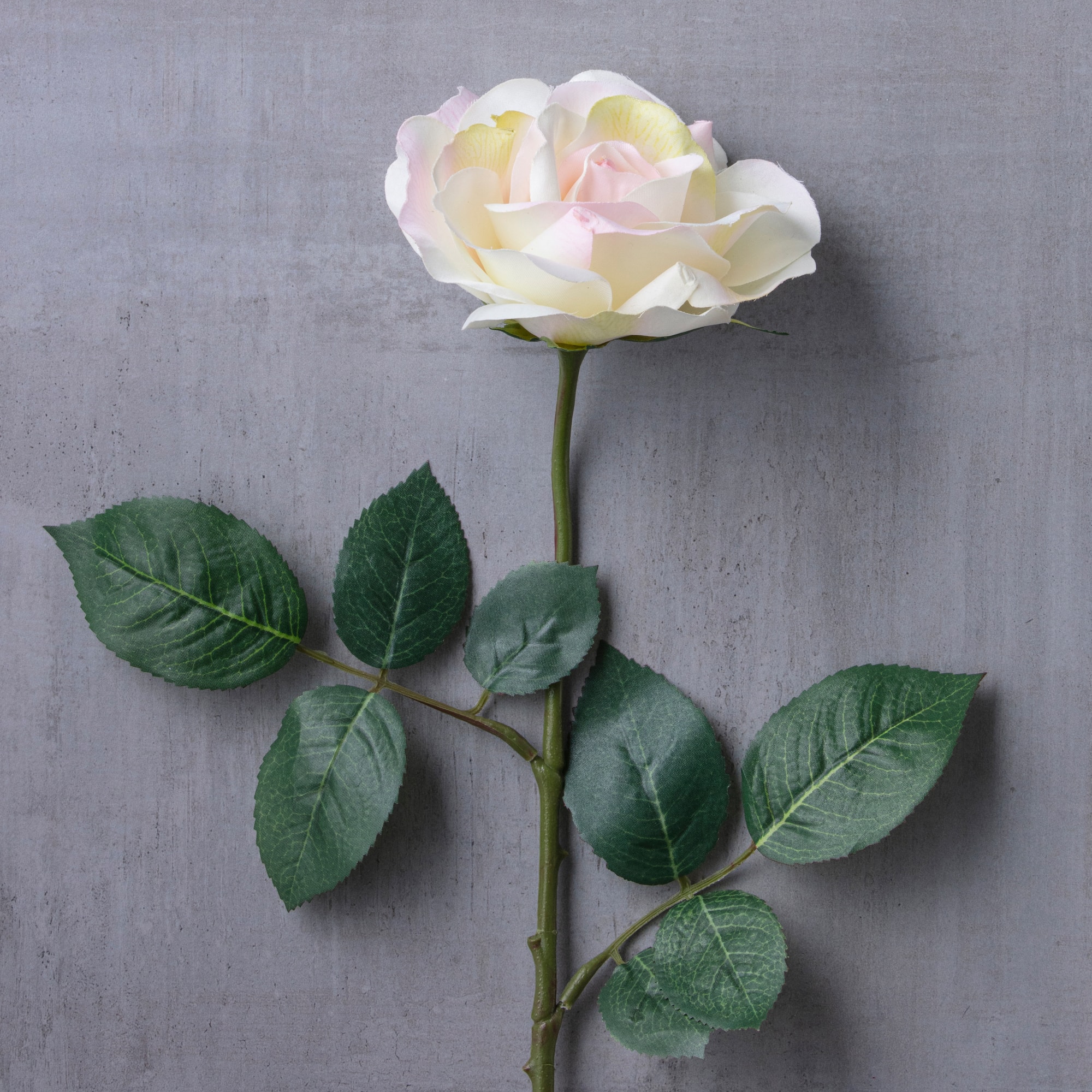 12 Pack: White Princess Rose Stem by Ashland®